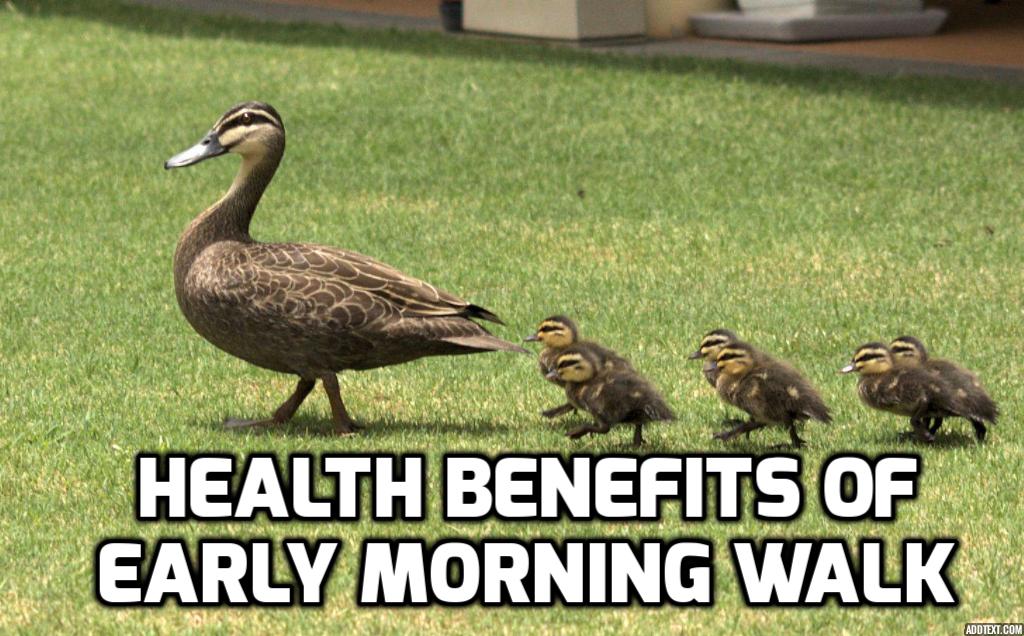 Health Benefits of Early Morning Walk