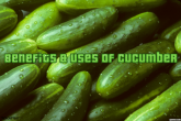 Uses Of Cucumber