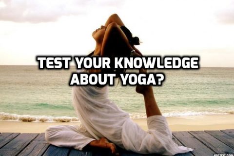 Knowledge ABout Yoga