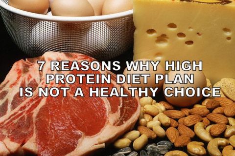 high protein diet plan