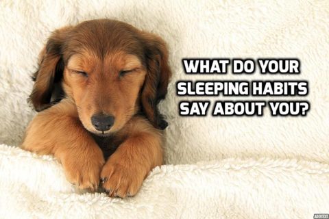 What Do Your Sleeping Habits Say About You