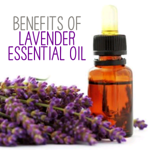 benefits of Lavender Essential Oil