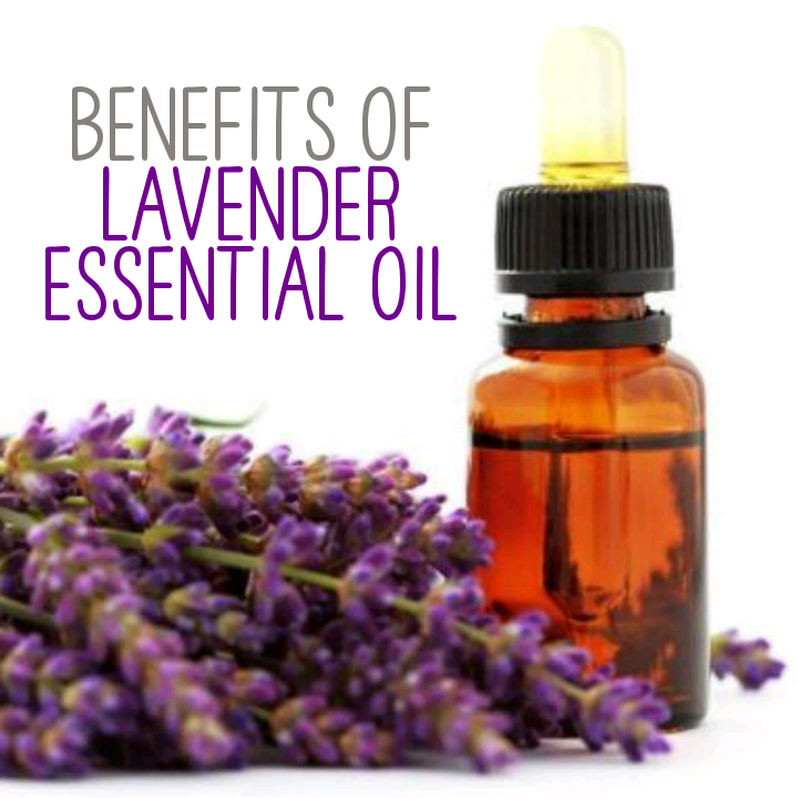 12 Amazing Benefits and Uses Of Lavender Essential Oil [Infographic]