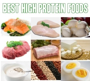 Top 10 Best High Protein Foods