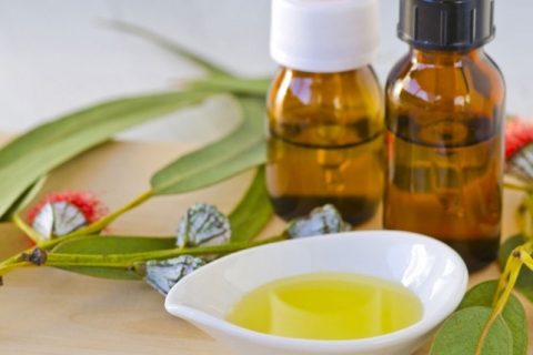 Eucalyptus oil uses
