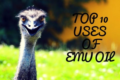 Emu Oil Uses and Benefits