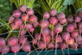 benefits of beets