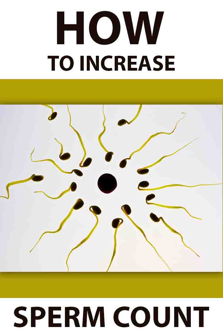 How To Increase Sperm Count And Motility Fast Home Remedies 