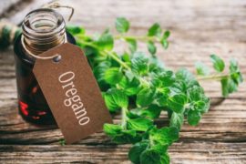 Benefits of oregano essential oil