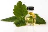 Benefits of patchouli essential oil