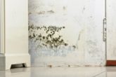 How to get rid of mildew smell