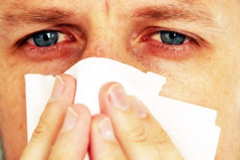 How to get rid of mold allergies